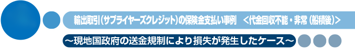 輸出取引（サプライヤーズクレジット）の保険金支払い事例　＜代金回収不能・非常(船積後)＞　〜現地国政府の送金規制により損失が発生したケース〜